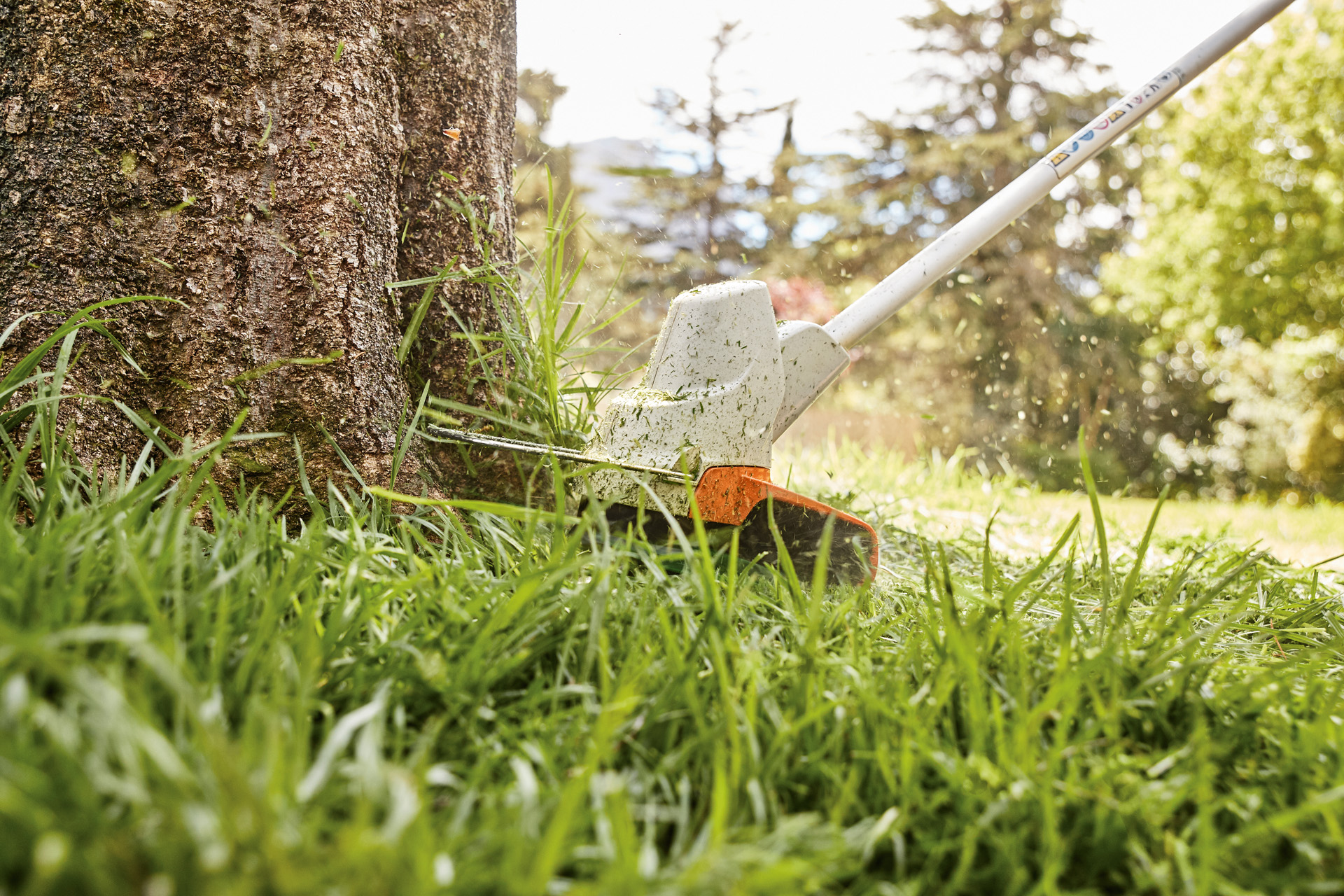 Fotografía de una desbrozadora de batería STIHL FS 57 empleada para cortar los bordes del césped junto a un árbol