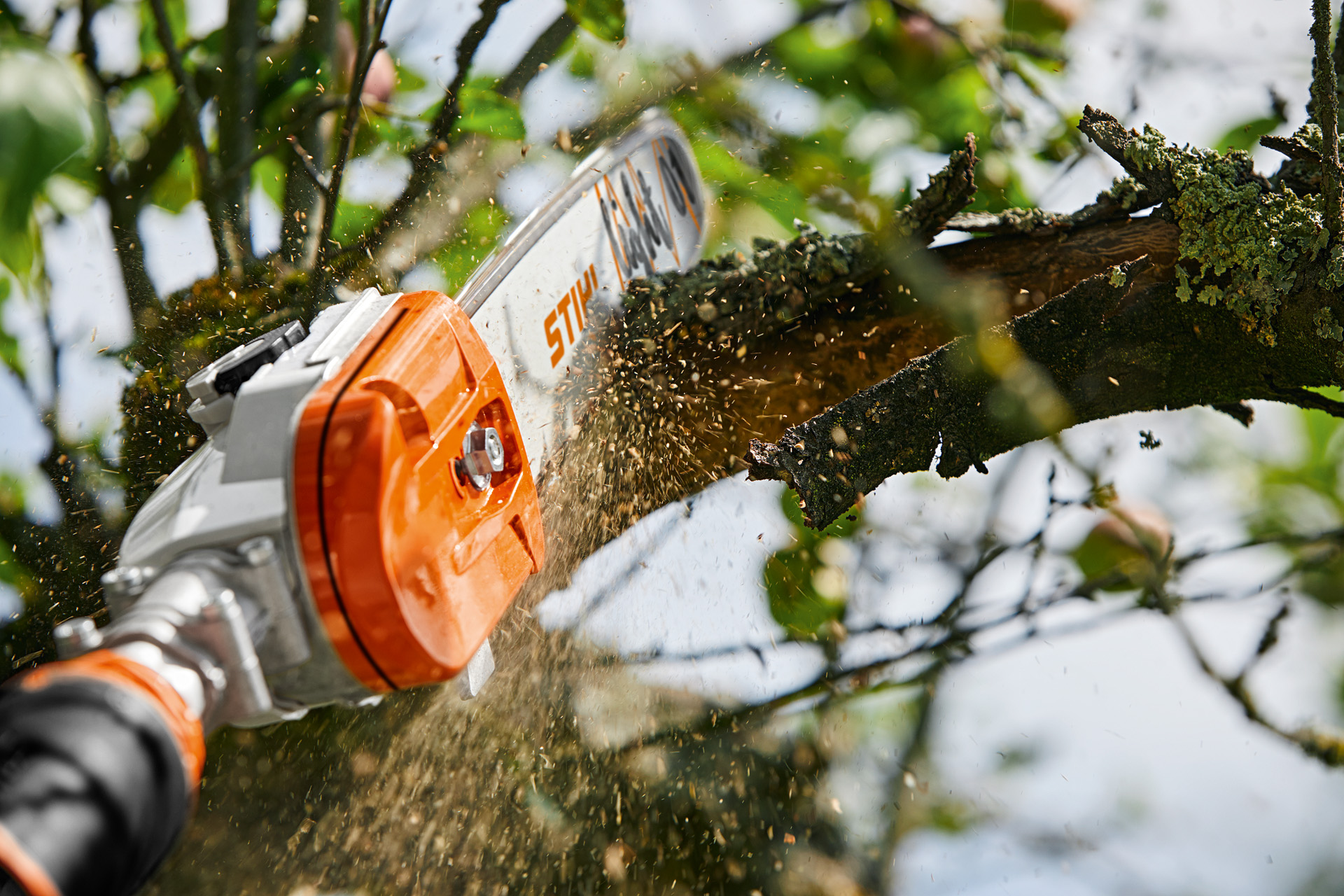 Con una herramienta de poda de batería STIHL GTA 26 se corta una rama del árbol frutal