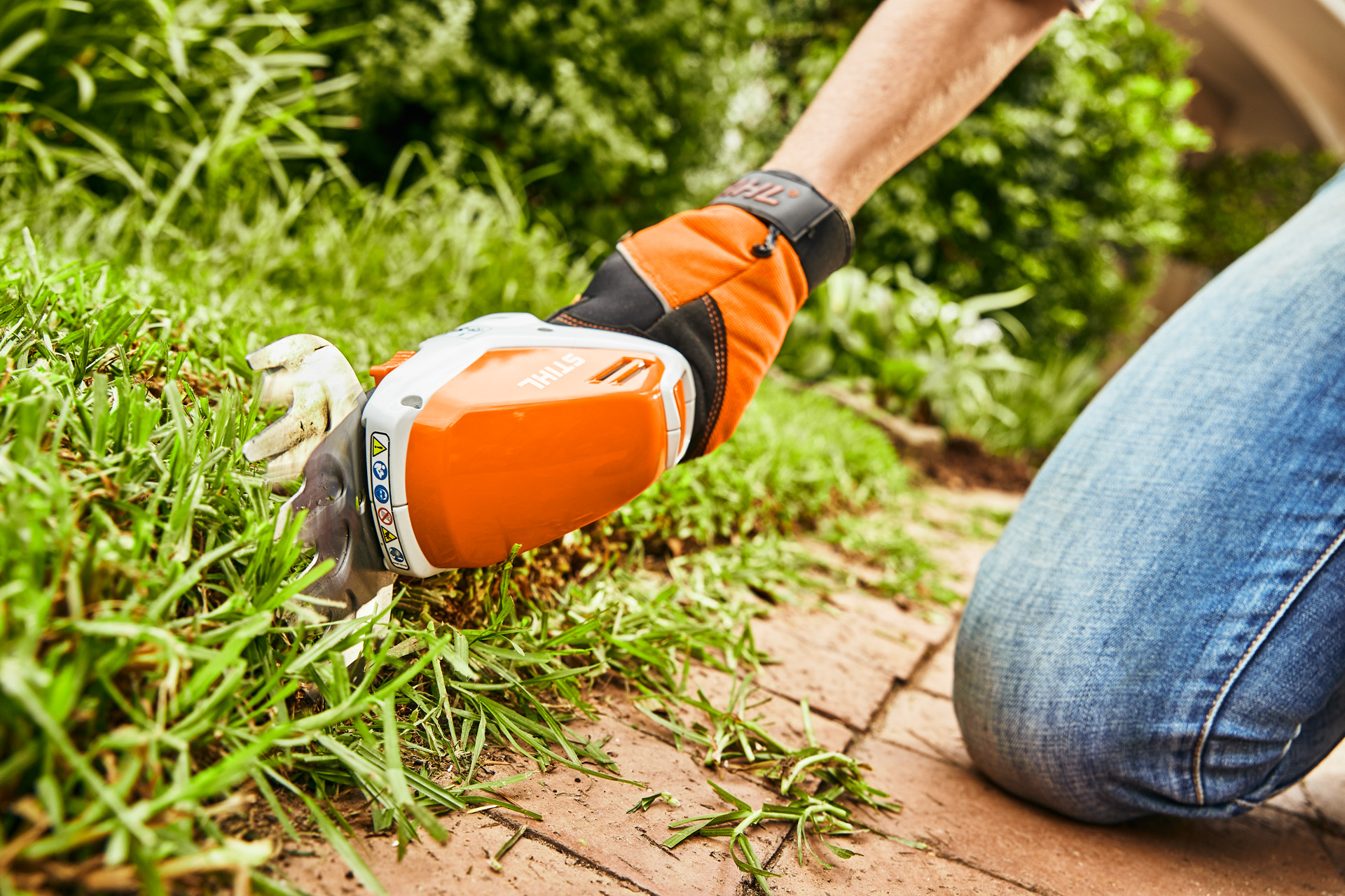 Recortasetos de batería STIHL HSA 26 utilizado para recortar bordes de un césped 