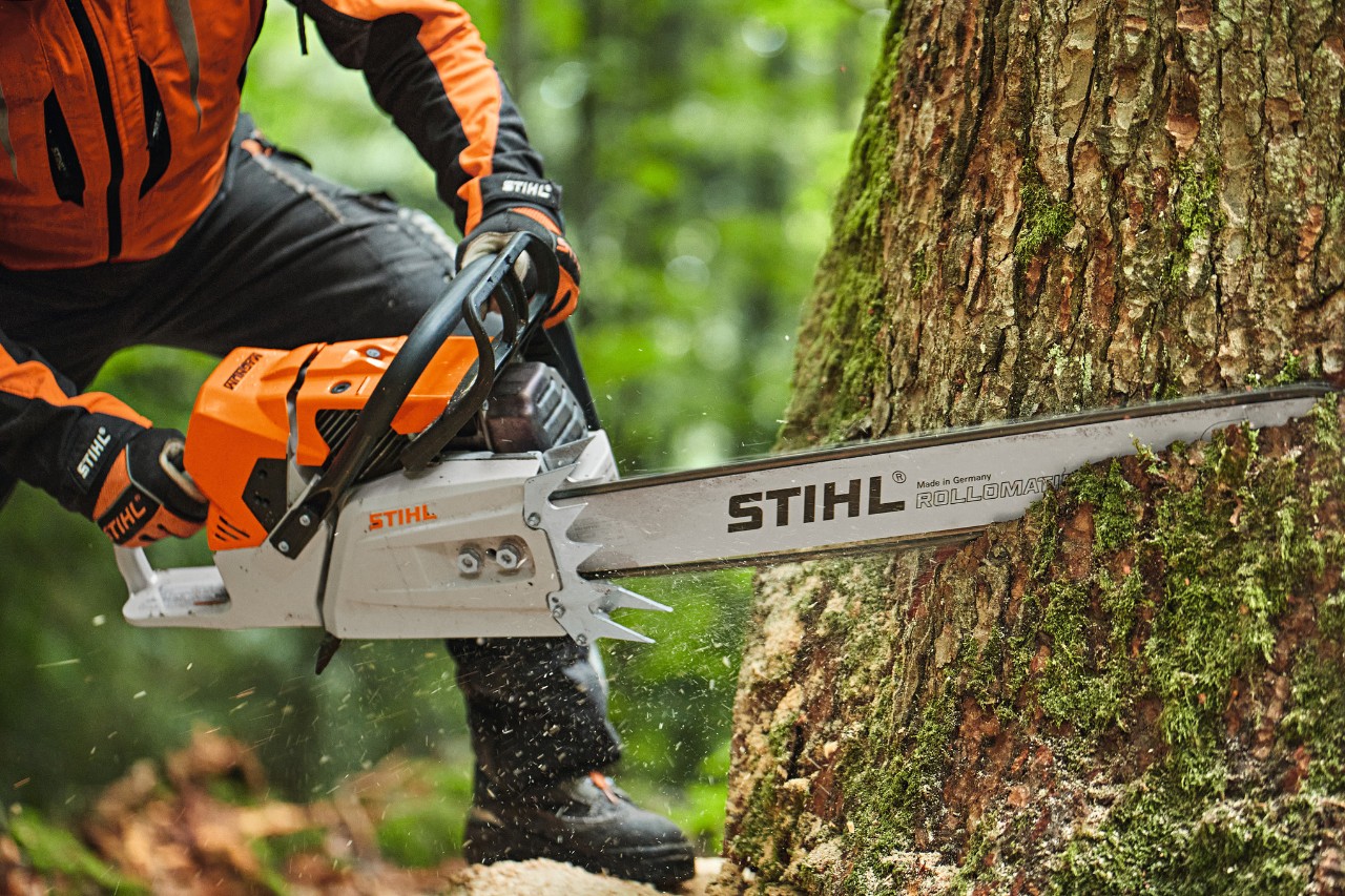 Una persona corta un árbol con una motosierra de gasolina STIHL MS 881 con espada